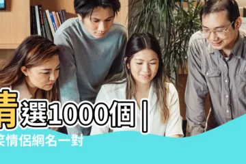 【搞怪一點的情侶網名】精選1000個 |搞笑情侶網名一對 |搞笑情侶網名 |