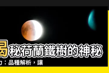 【荷蘭鐵樹】揭秘荷蘭鐵樹的神秘魅力：品種解析，讓您大開眼界！