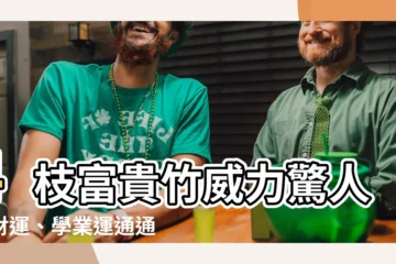 【4枝富貴竹】4枝富貴竹威力驚人！財運、學業運通通旺