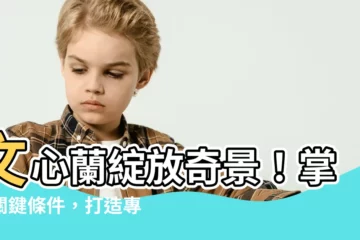 【文心蘭開花條件】文心蘭綻放奇景！掌握關鍵條件，打造專屬你的蘭花天堂！