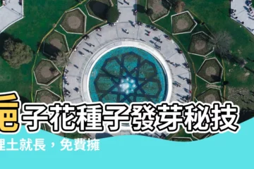 【梔子花種子發芽】梔子花種子發芽秘技！埋土就長，免費擁有芬芳花海