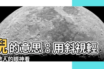【睨意思】睨的意思：用斜視輕蔑他人的眼神看