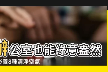 【辦公室花】辦公室也能綠意盎然！必養8種清淨空氣、助好運的辦公室花