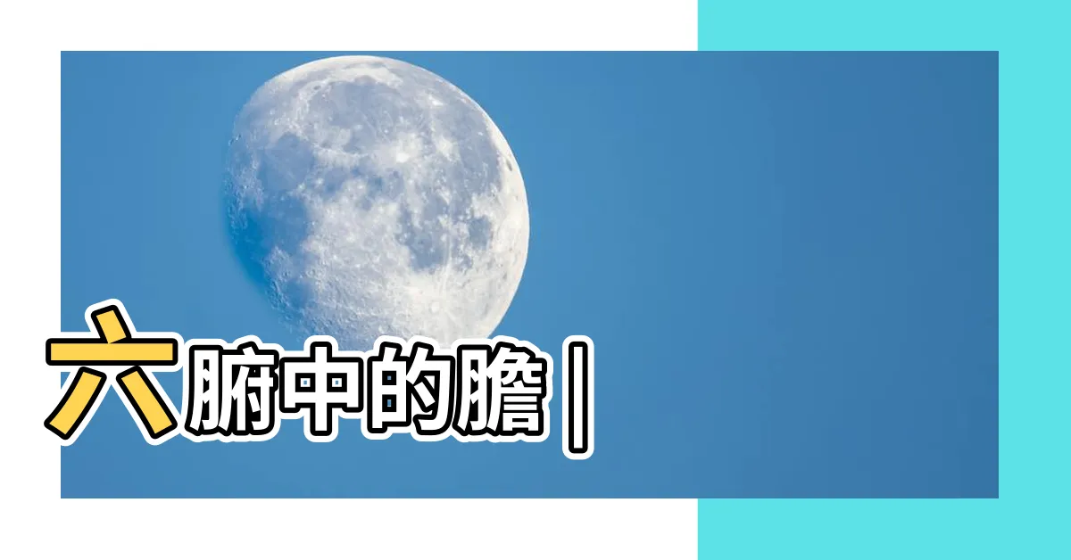 【五行 甲木】六腑中的膽 |