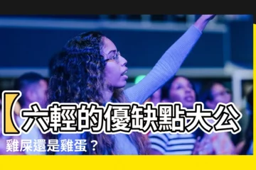 【六輕的優缺點】【六輕的優缺點大公開】雞屎還是雞蛋？一文看懂麥寮人眼中的六輕