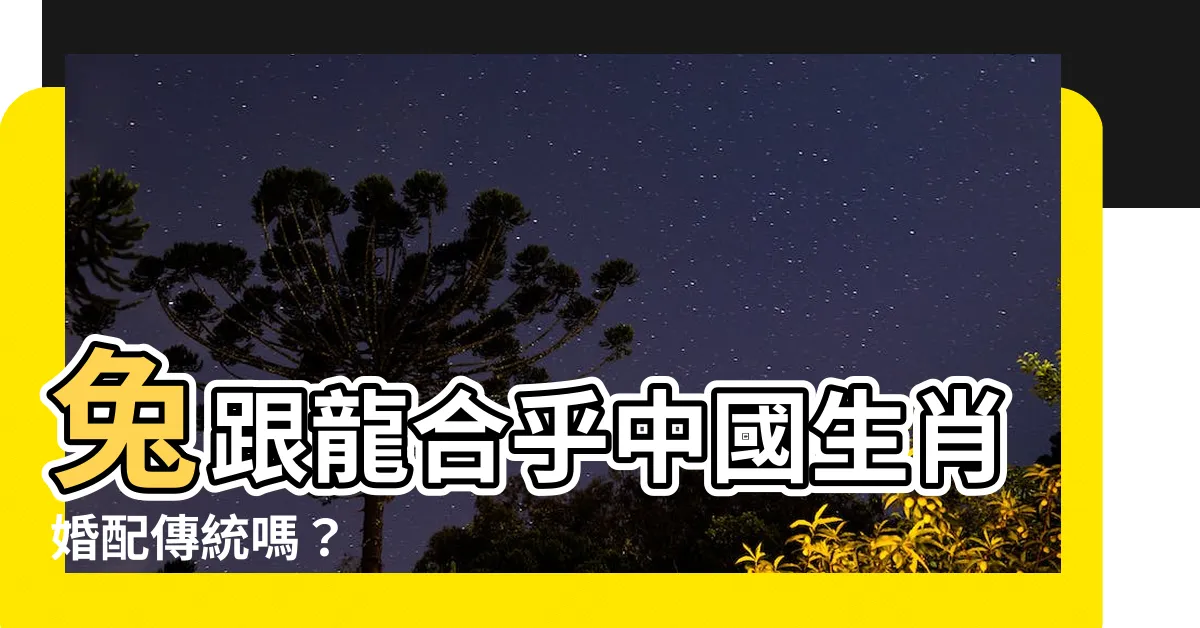 【兔跟龍合嗎】兔跟龍合乎中國生肖婚配傳統嗎？