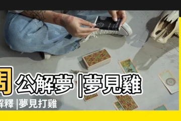 【夢到 自己打了15個雞蛋】周公解夢 |夢見雞蛋解釋 |夢見打雞蛋 |
