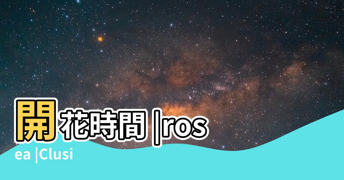 【書帶木寓意】開花時間 |rosea |Clusia |