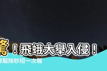【飛蛾飛進家裡怎麼辦】驚！飛蛾大舉入侵！有效驅除妙招一次報你知