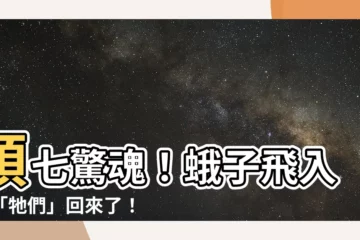 【頭七 蛾】頭七驚魂！蛾子飛入家「牠們」回來了！