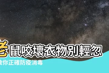 【老鼠會咬衣服嗎】老鼠咬壞衣物別輕忽！教你正確防疫消毒，保障居家安全！