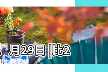【一年一次生日5月29日】2月29日 |比229出生還慘 |這些壽星慶生要等到2166年 |