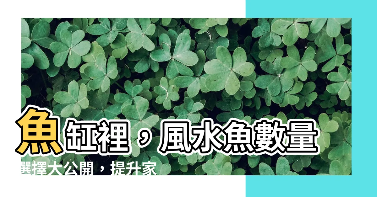 【魚數目 風水】魚缸裡，風水魚數量選擇大公開，提升家運就靠這招！