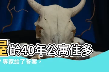 【屋齡40年】屋齡40年公寓住多久？專家給了答案，看完後你放心了嗎？