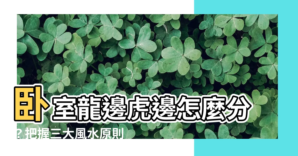 【卧室龍邊虎邊】卧室龍邊虎邊怎麼分？把握三大風水原則，事業、感情輕鬆向上升！