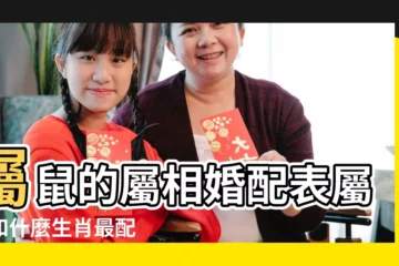 【屬鼠和什麼屬相最配】屬鼠的屬相婚配表屬鼠和什麼生肖最配 |屬鼠的最佳婚配屬相 |屬鼠的和什麼屬相最配生肖鼠最幸福的婚配屬相 |