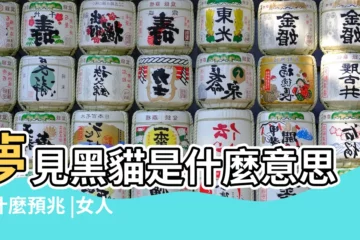 【做夢夢到黑貓代表什麼預兆】夢見黑貓是什麼意思有什麼預兆 |女人夢見黑貓是什麼意思預兆 |夢到黑貓是什麼預兆夢見黑貓周公解夢解釋 |