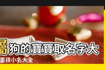 【2018屬狗男寶五行缺木取名】屬狗的寶寶取名字大全 |男孩小名大全2018屬狗 |五行缺火 |