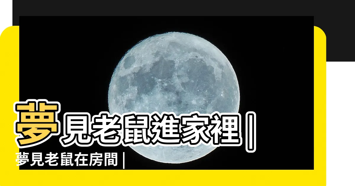 【夢到老鼠跑進房間】夢見老鼠進家裡 |夢見老鼠在房間 |夢見三隻老鼠跑進房間 |