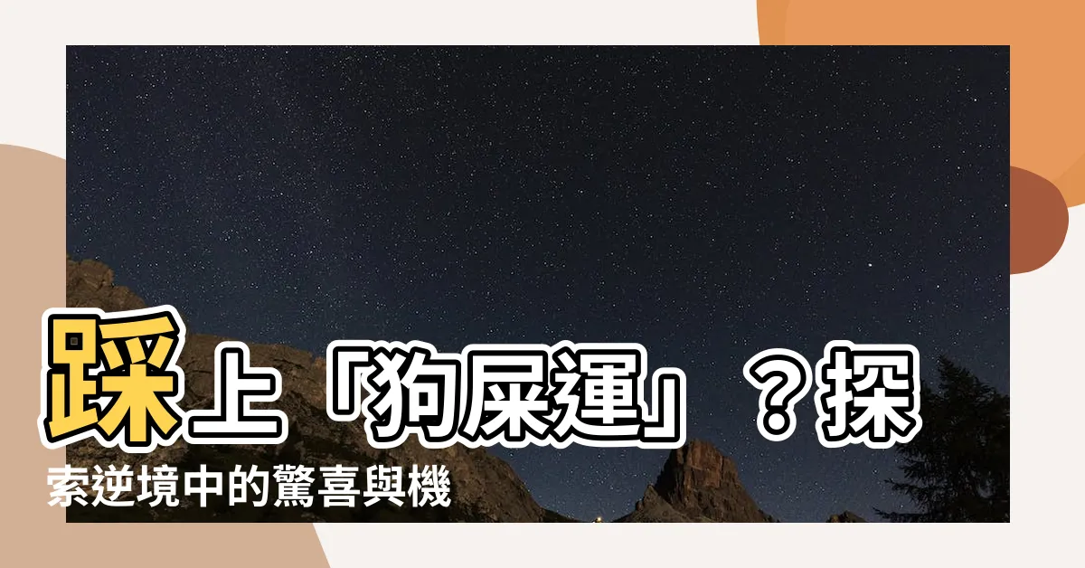 【踩狗屎運】踩上「狗屎運」？探索逆境中的驚喜與機會