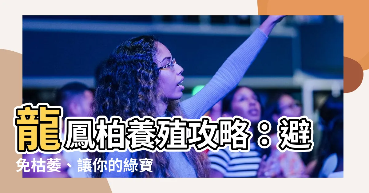 【龍鳳柏如何養殖】龍鳳柏養殖攻略：避免枯萎、讓你的綠寶石生生不息