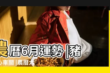 【農曆六月衝什麼生肖】農曆6月運勢 |豬當心車關 |農曆六月是什麼生肖月 |