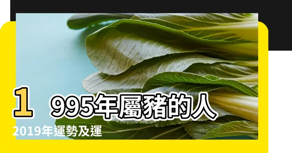 1995年屬豬的人2019年運勢及運程 |95年屬豬24歲命運有什麼惡運女命男命 |95年屬豬24歲命運如何屬豬人2019年運勢 |【1995屬豬的命運2019】
