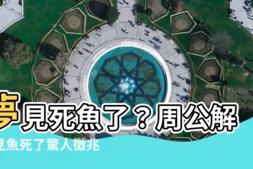 【夢見死魚】夢見死魚了？周公解夢見魚死了驚人徵兆，原來代表著...