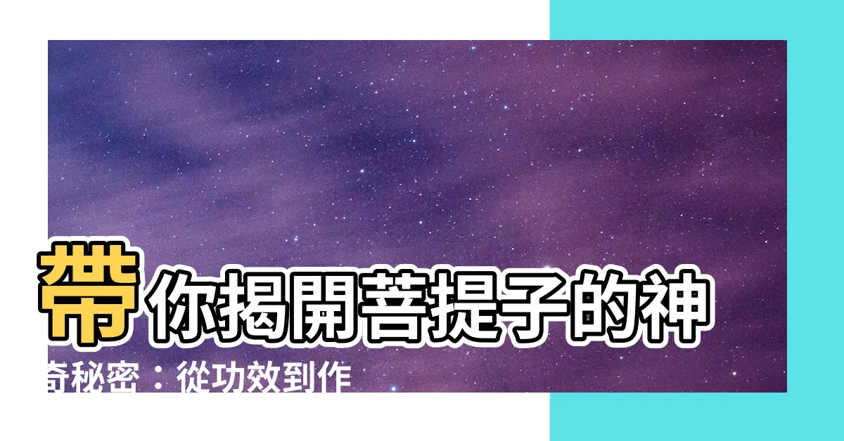 【菩提子的功效】帶你揭開菩提子的神奇秘密：從功效到作用！