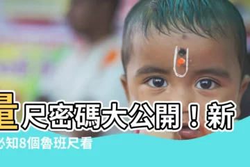 【量尺怎麼看】量尺密碼大公開！新手必知8個魯班尺看門道