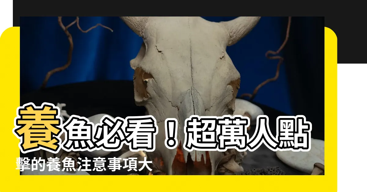 【養魚注意事項】養魚必看！超萬人點擊的養魚注意事項大公開！
