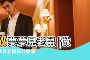 【夢見老鼠鬧家】做夢夢見老鼠 |做夢夢見老鼠是什麼意思 |夢見老鼠 |