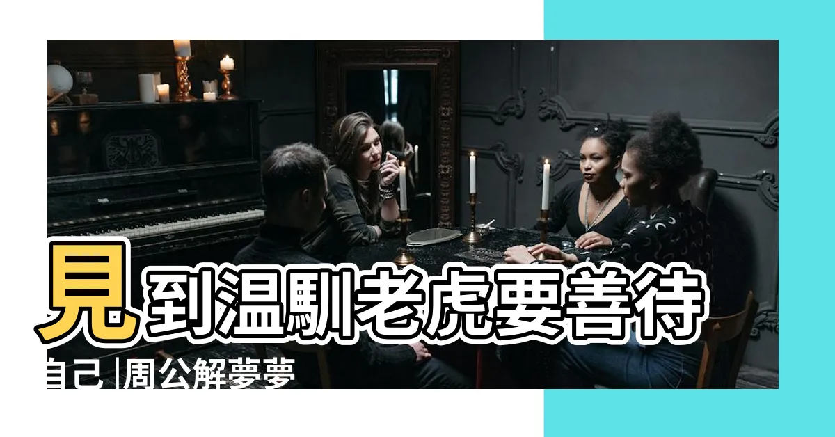 【夢到養小老虎】見到温馴老虎要善待自己 |周公解夢夢見小老虎是什麼意思 |夢見老虎追逐與攻擊代表什麼 |