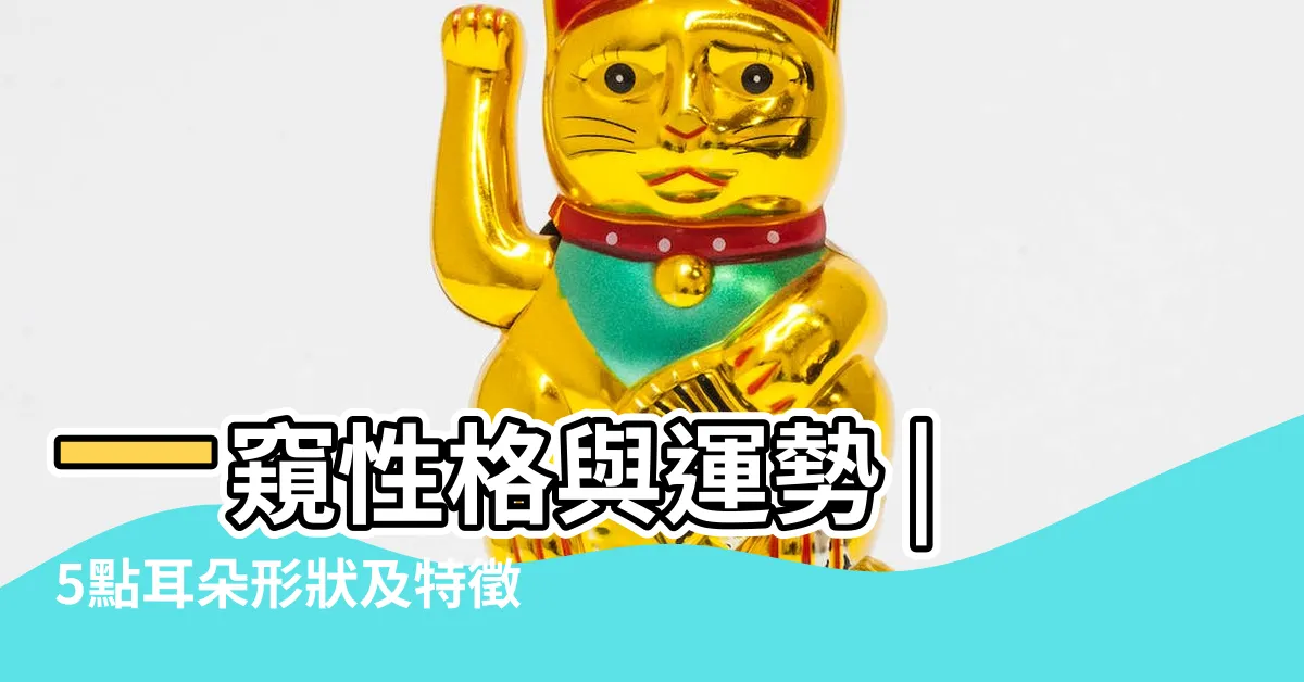 【耳朵面向】一窺性格與運勢 |5點耳朵形狀及特徵 |從耳朵看面相 |