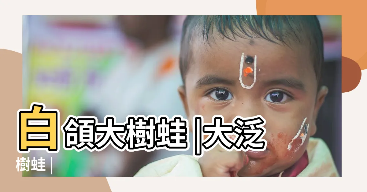 【大樹蛙】白頜大樹蛙 |大泛樹蛙 |