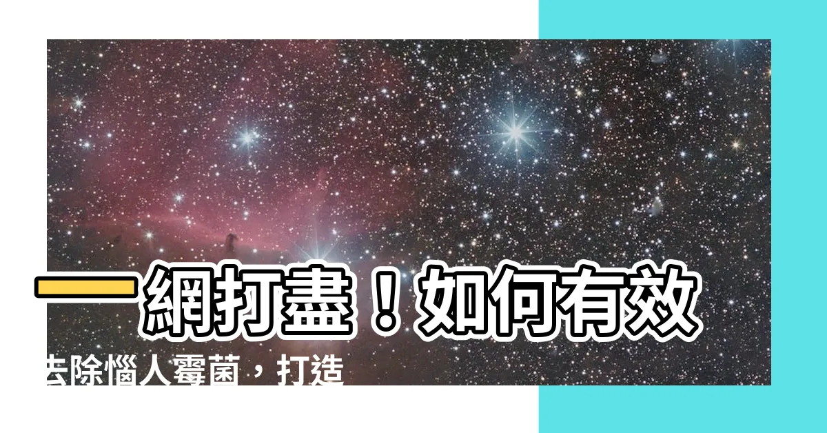 【如何去除黴菌】一網打盡！如何有效去除惱人黴菌，打造健康居家空間