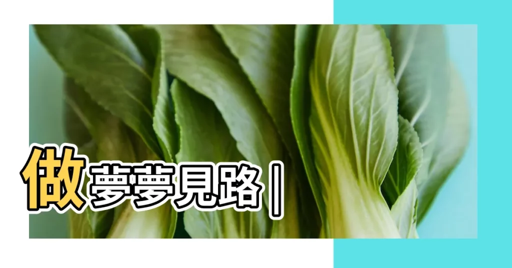 做夢夢見路 |【周公解夢 夢見幾條路】