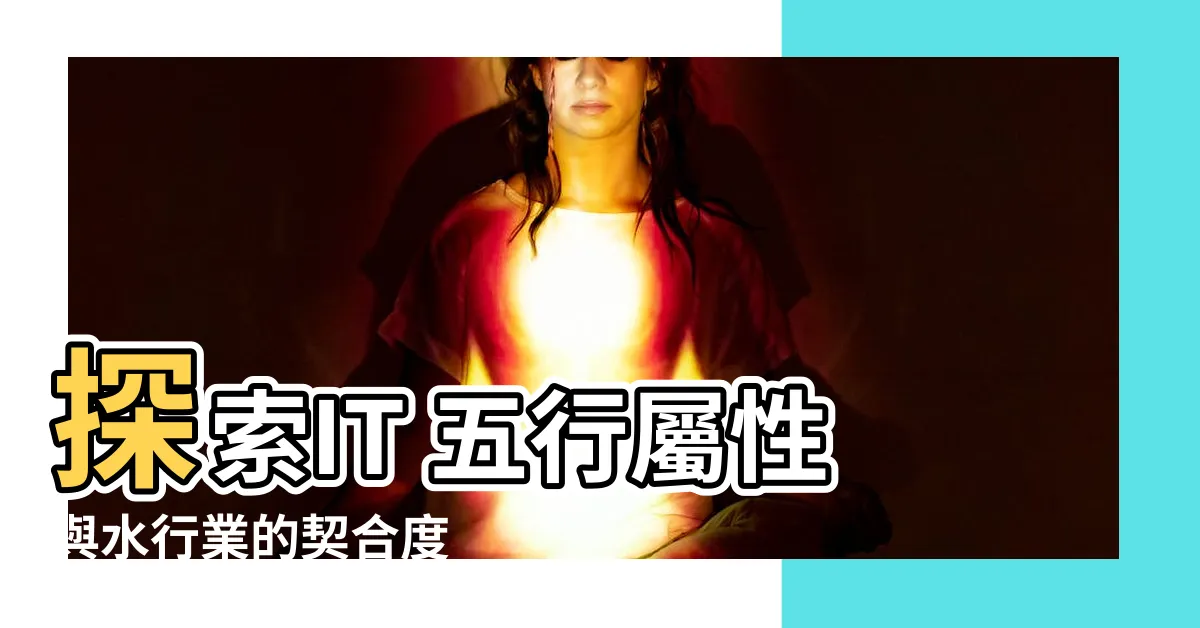【it 五行】探索IT 五行屬性與水行業的契合度