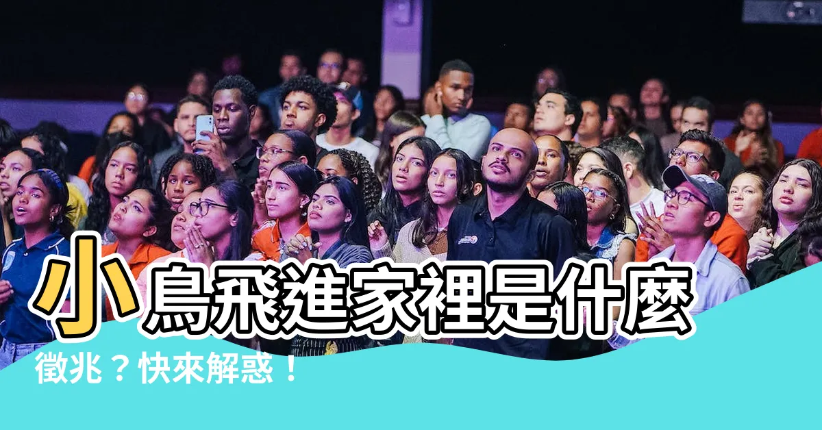 【小鳥飛到家裡】小鳥飛進家裡是什麼徵兆？快來解惑！