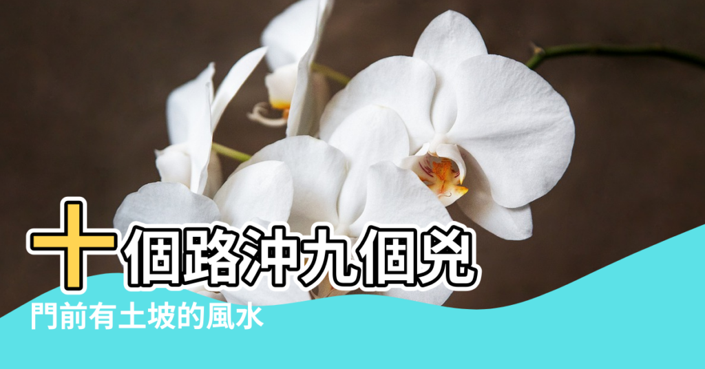 【門前有路拐風水】十個路沖九個兇 |門前有土坡的風水 |風水科學 |