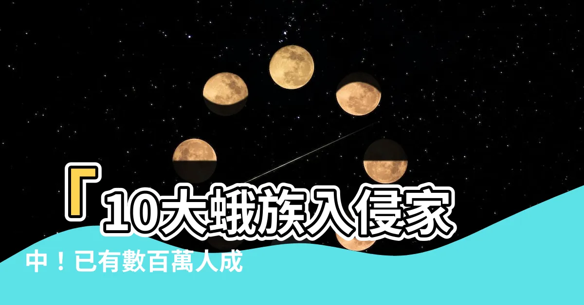【蛾 家裡】「10大蛾族入侵家中！已有數百萬人成為衣蛾室友的受害者！」