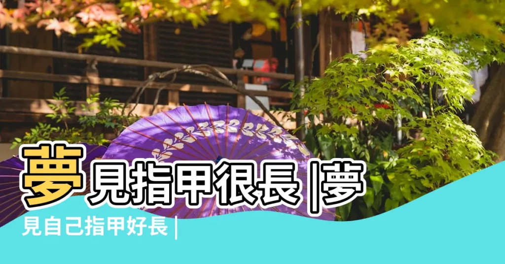 夢見指甲很長 |夢見自己指甲好長 |夢到指甲很長是什麼意思 |【孕婦夢到自己指甲很長】