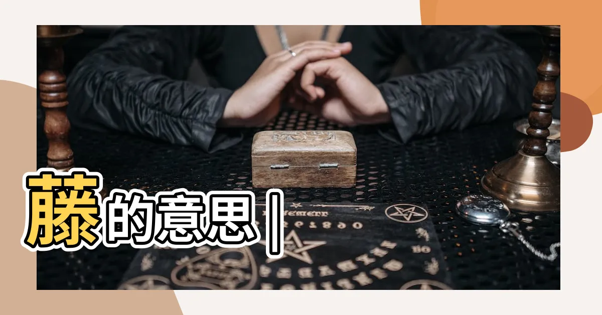 【藤意思】藤的意思 |