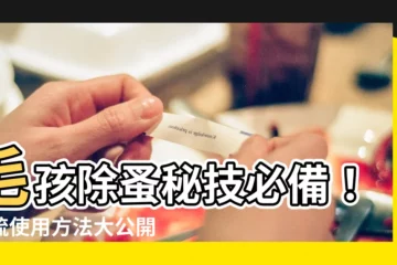 【蚤梳使用方法】毛孩除蚤秘技必備！蚤梳使用方法大公開，告別跳蚤煩惱！