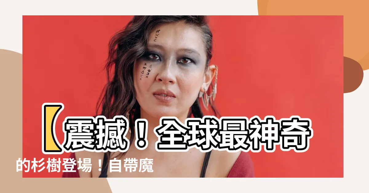 【杉樹】【震撼！全球最神奇的杉樹登場！自帶魔力的杉樹能治百病！】