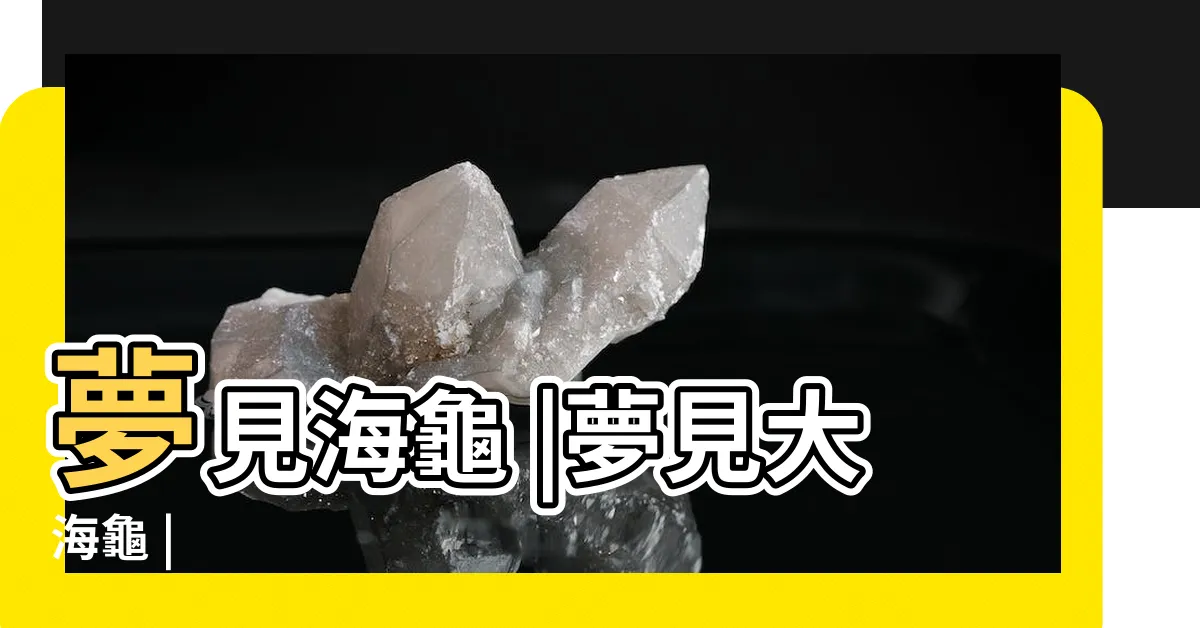 【夢到海龜】夢見海龜 |夢見大海龜 |