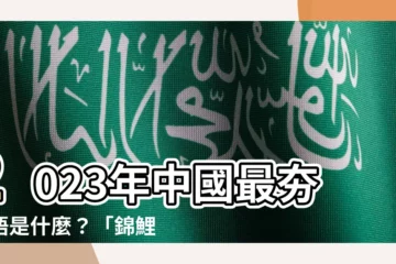 【錦鯉意思】2023年中國最夯術語是什麼？「錦鯉」的真實意思原來是這樣！