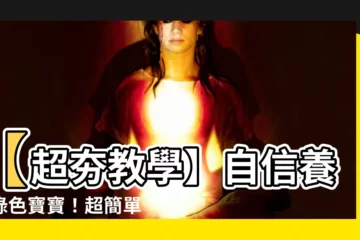 【龍血樹盆栽】【超夯教學】自信養出綠色寶寶！超簡單龍血樹盆栽養護指南