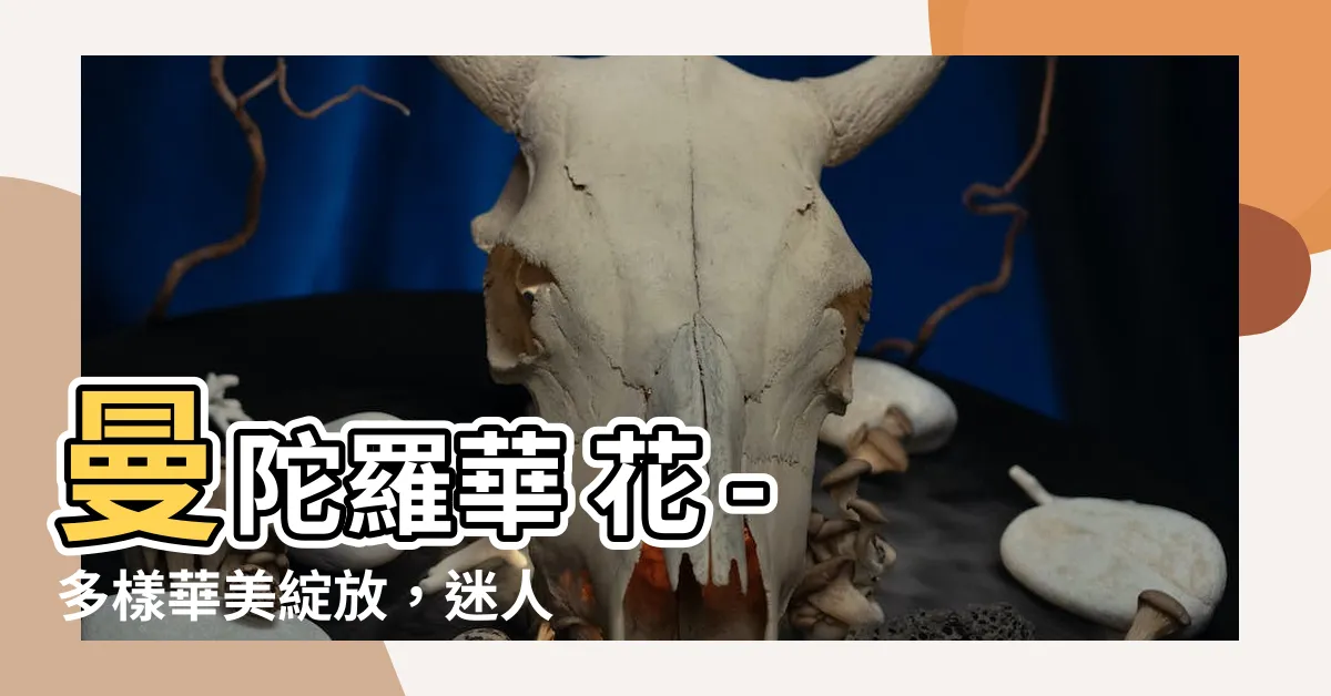 【曼陀羅華 花】曼陀羅華 花 - 多樣華美綻放，迷人中文花朵的絢麗舞蹈！