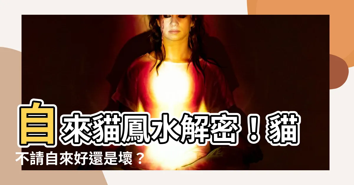 【自來貓風水】自來貓鳳水解密！貓不請自來好還是壞？